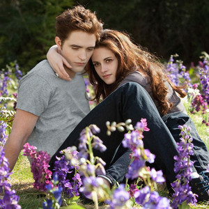 Twilight Saga Breaking Dawn Part 2 Twilight Saga Breaking Dawn Part 2